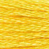 Embroidery Floss