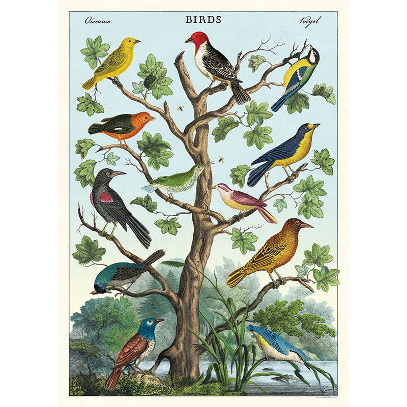 Decorative Paper 19.75 x 27.5 - Art Department LLC