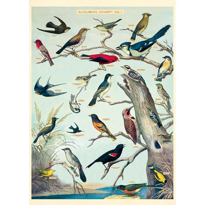 Decorative Paper 19.75 x 27.5