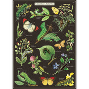 Decorative Paper 19.75 x 27.5 - Art Department LLC