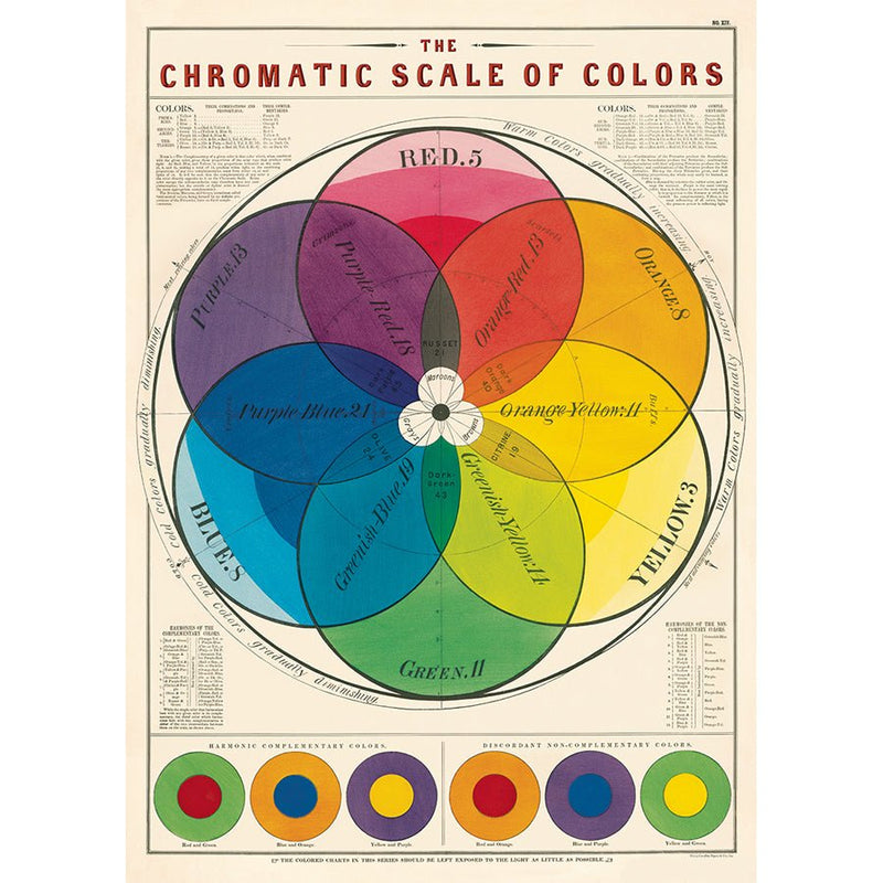 Decorative Paper 19.75 x 27.5 - Art Department LLC
