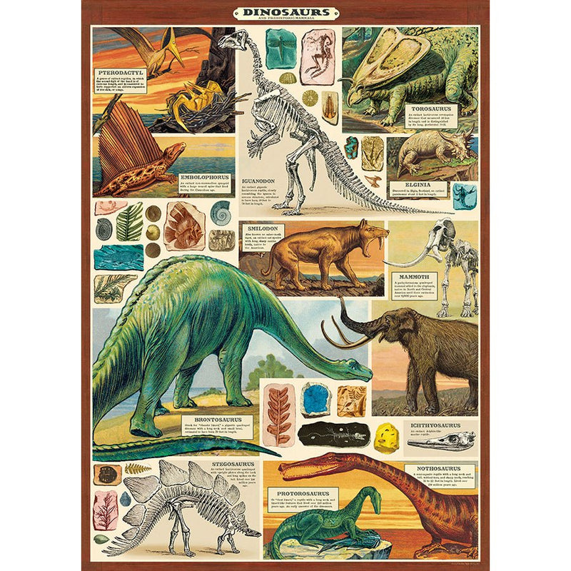 Decorative Paper 19.75 x 27.5 - Art Department LLC
