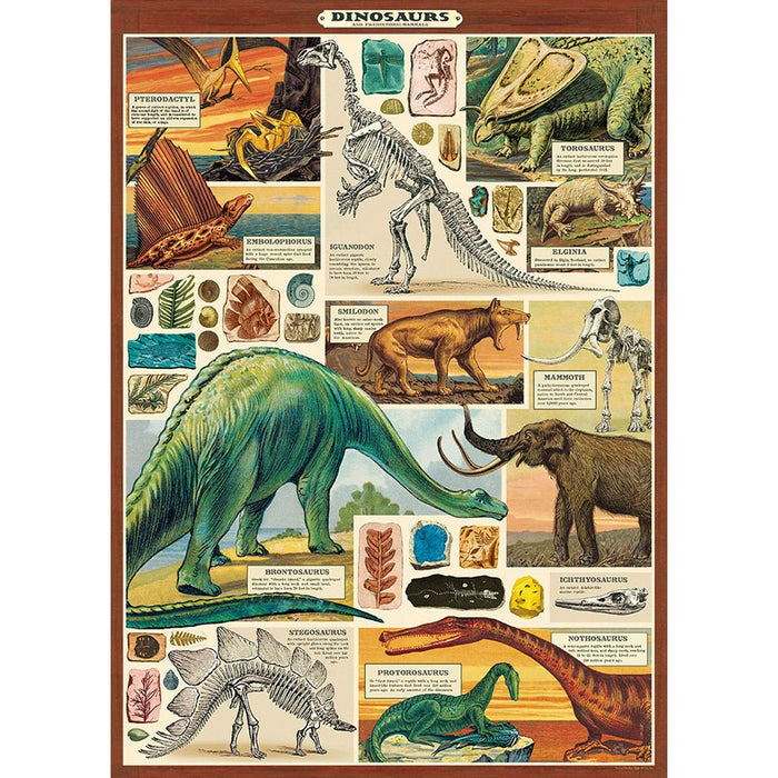 Decorative Paper 19.75 x 27.5