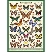Decorative Paper 19.75 x 27.5 - Art Department LLC