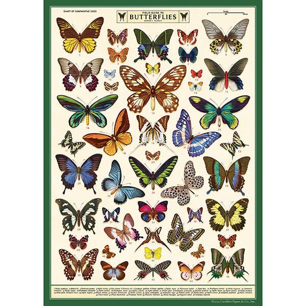 Decorative Paper 19.75 x 27.5 - Art Department LLC