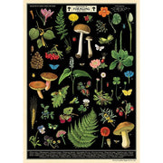 Decorative Paper 19.75 x 27.5 - Art Department LLC