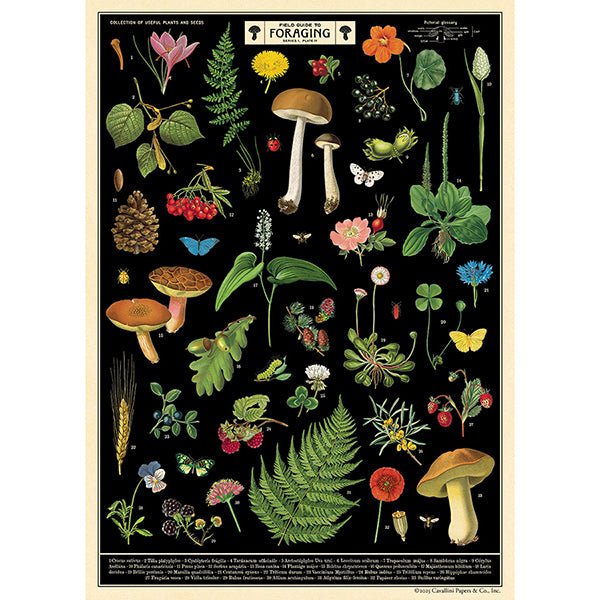 Decorative Paper 19.75 x 27.5 - Art Department LLC