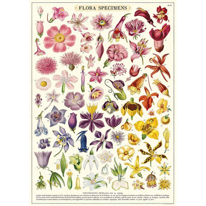Decorative Paper 19.75 x 27.5