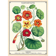 Decorative Paper 19.75 x 27.5 - Art Department LLC