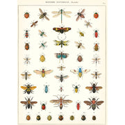 Decorative Paper 19.75 x 27.5 - Art Department LLC