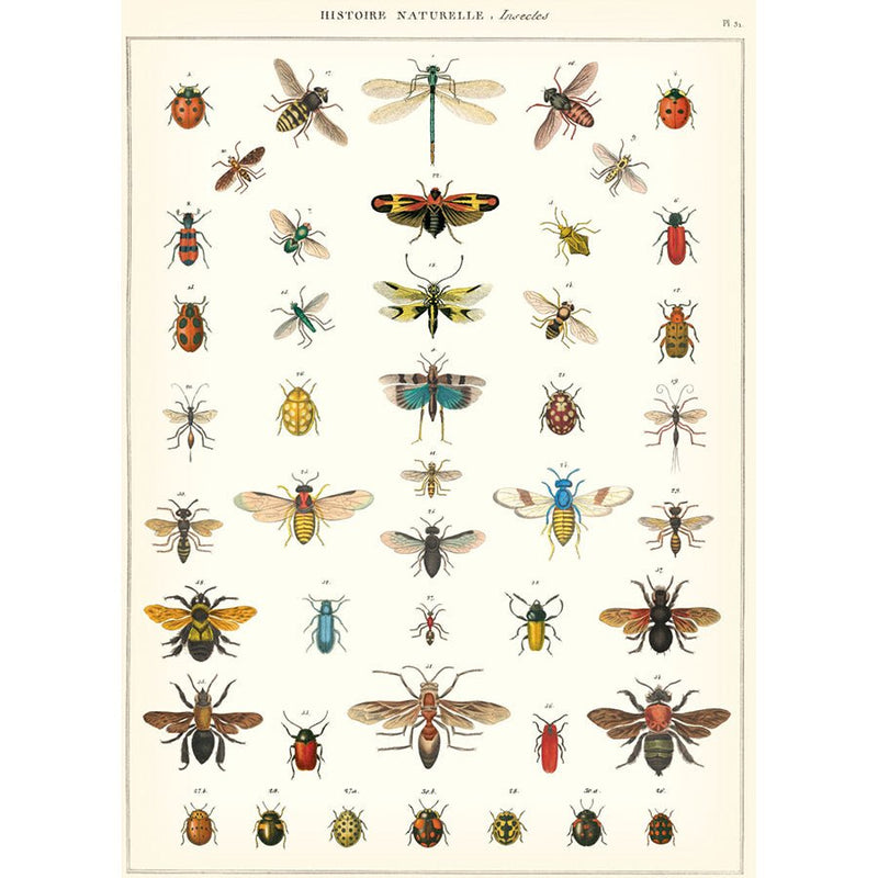 Decorative Paper 19.75 x 27.5 - Art Department LLC