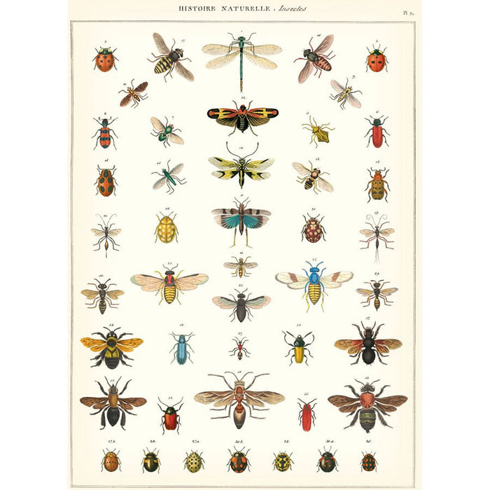Decorative Paper 19.75 x 27.5