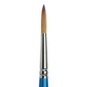 Winsor & Newton Cotman Watercolor Brushes - Art Department LLC