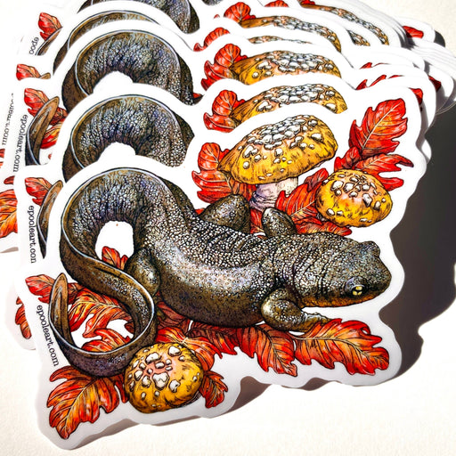 Rough-Skinned Newt Vinyl Sticker