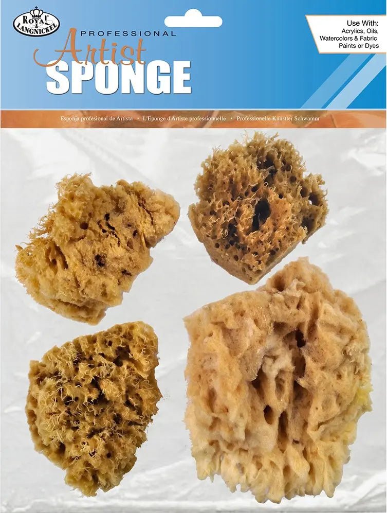 Sponge Sets - Art Department LLC