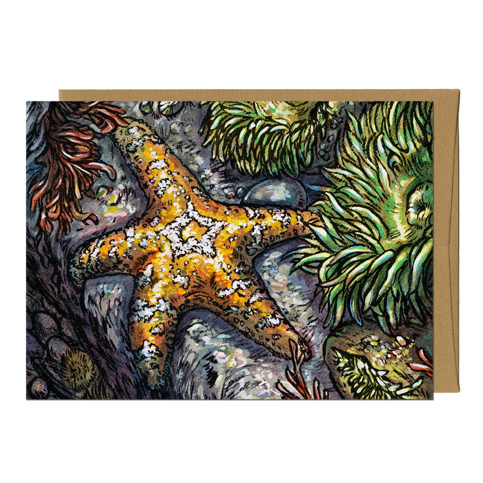Emily Poole Illustration - Ochre Sea Star Greeting Card