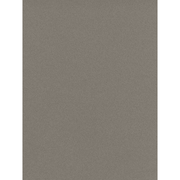 Canson Mi - Teintes Paper Sheet 19”x25” - Art Department LLC