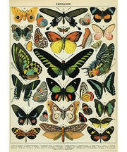 Decorative Paper 19.75 x 27.5 - Art Department LLC