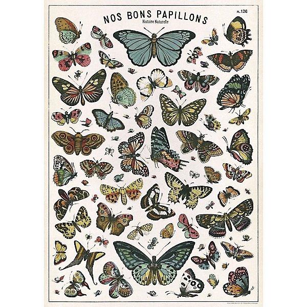 Decorative Paper 19.75 x 27.5 - Art Department LLC