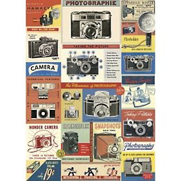 Decorative Paper 19.75 x 27.5 - Art Department LLC