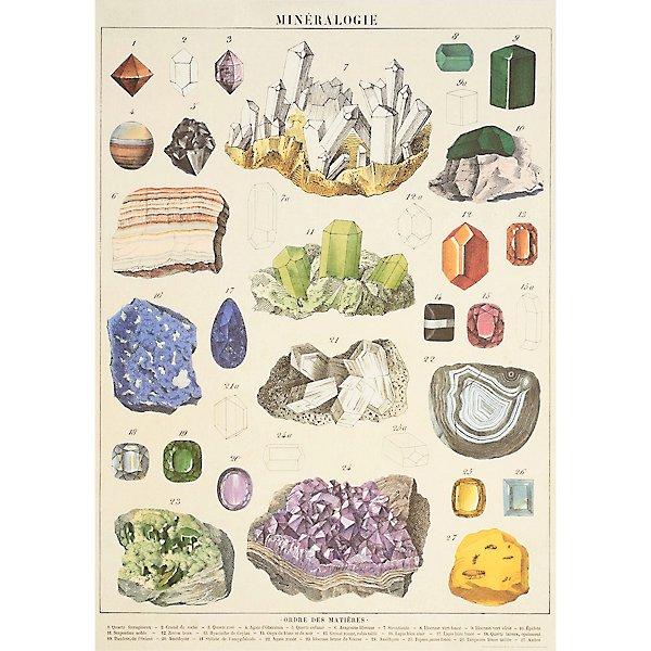 Decorative Paper 19.75 x 27.5 - Art Department LLC