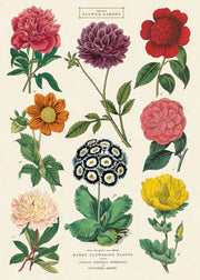 Decorative Paper 19.75 x 27.5 - Art Department LLC