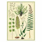 Decorative Paper 19.75 x 27.5 - Art Department LLC