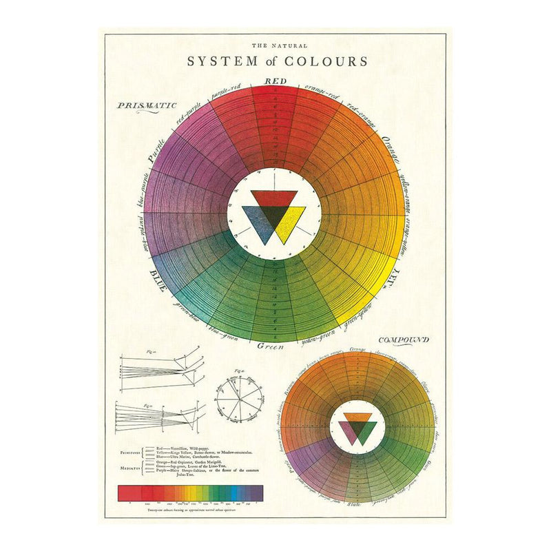 Decorative Paper 19.75 x 27.5 - Art Department LLC