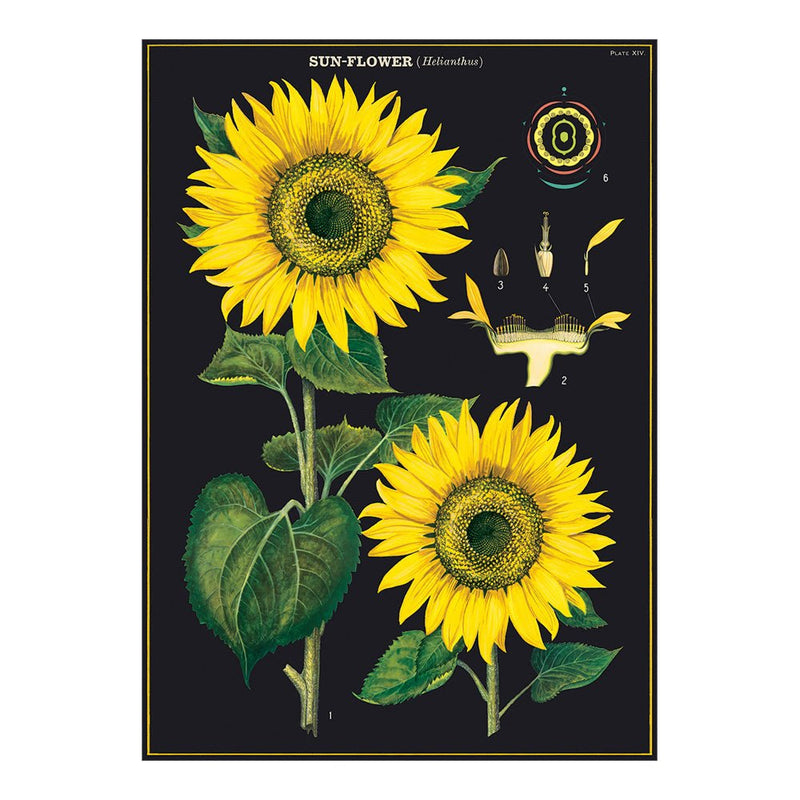 Decorative Paper 19.75 x 27.5 - Art Department LLC