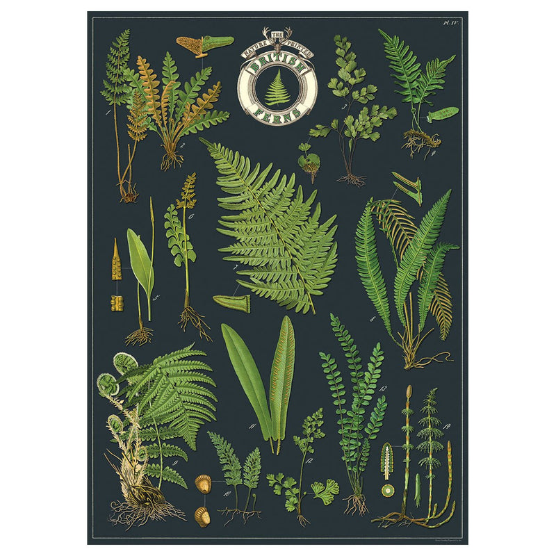 Decorative Paper 19.75 x 27.5 - Art Department LLC