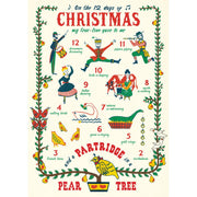 Decorative Paper 19.75 x 27.5 - Art Department LLC