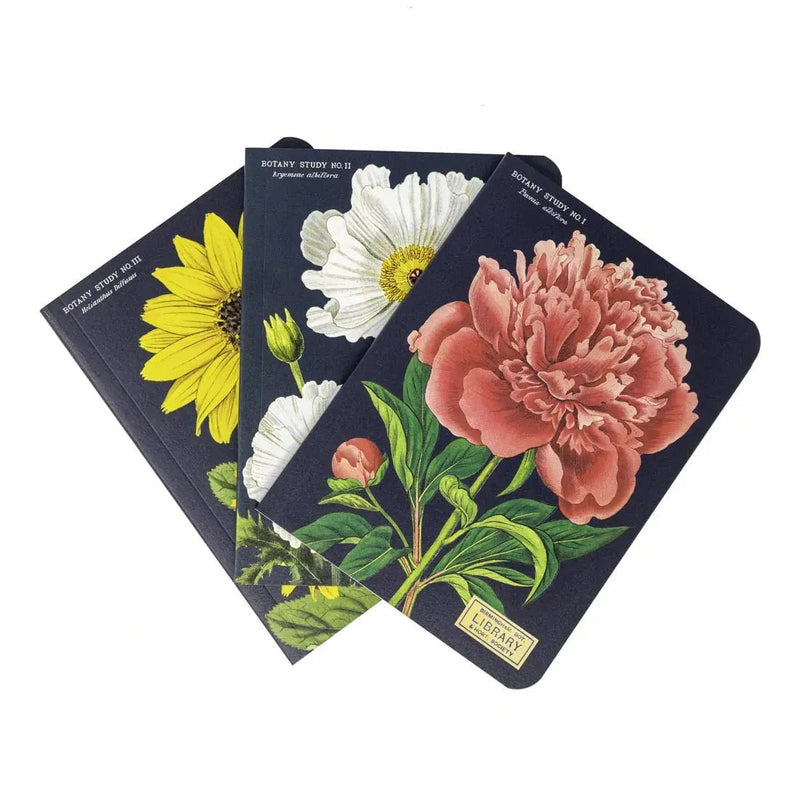 Mini Notebooks Set/3 - Art Department LLC