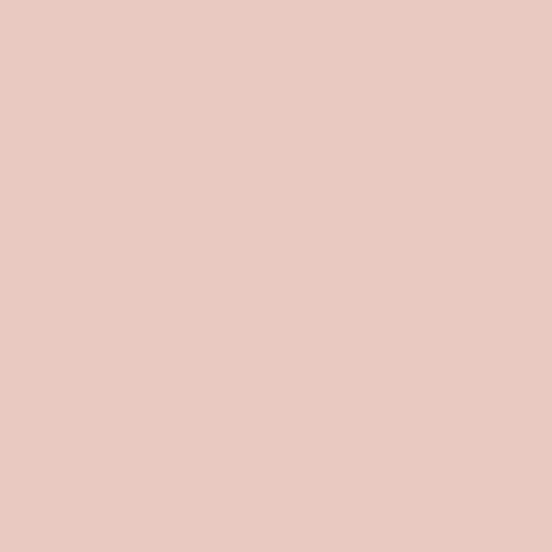 Stabilo Pen 68 - Art Department LLC