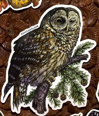 Owl Transparent Vinyl Sticker