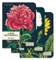 Mini Notebooks Set/3 - Art Department LLC