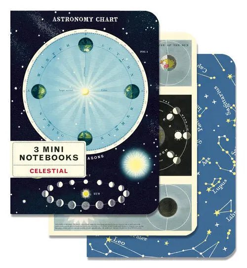 Mini Notebooks Set/3 - Art Department LLC