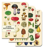 Mini Notebooks Set/3 - Art Department LLC