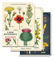 Mini Notebooks Set/3 - Art Department LLC