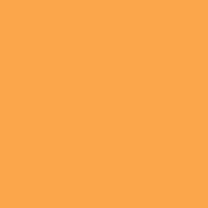 Caran d'Ache Neocolor II, Water - soluble Wax Pastels - Art Department LLC
