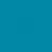 Caran d'Ache Neocolor II, Water - soluble Wax Pastels - Art Department LLC
