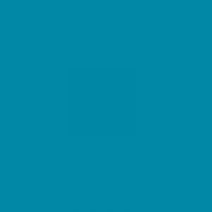 Caran d'Ache Neocolor II, Water - soluble Wax Pastels - Art Department LLC