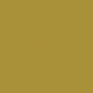 Caran d'Ache Neocolor II, Water - soluble Wax Pastels - Art Department LLC