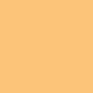 Caran d'Ache Neocolor II, Water - soluble Wax Pastels - Art Department LLC