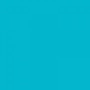 Caran d'Ache Neocolor II, Water - soluble Wax Pastels - Art Department LLC