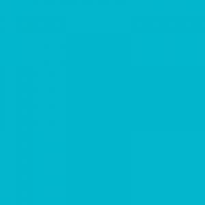 Caran d'Ache Neocolor II, Water - soluble Wax Pastels - Art Department LLC