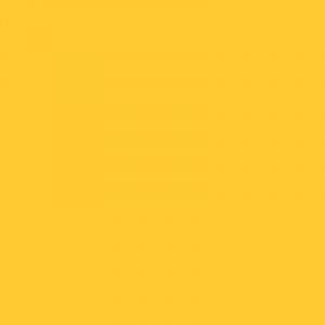 Caran d'Ache Neocolor II, Water - soluble Wax Pastels - Art Department LLC