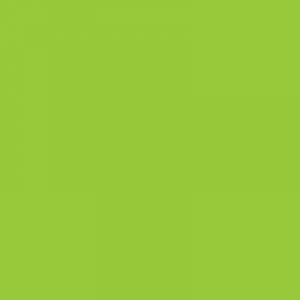 Caran d'Ache Neocolor II, Water - soluble Wax Pastels - Art Department LLC
