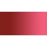 Gamblin Fastmatte Oil Paint 37ML - Art Department LLC