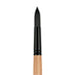 Catalyst Polytip Long Handle Bristle Brushes | Princeton Art & Brush Co