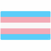 Pride Flags - Art Department LLC